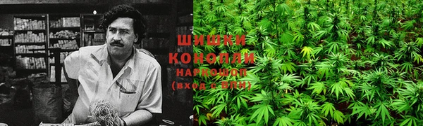 прущие крисы Белоозёрский