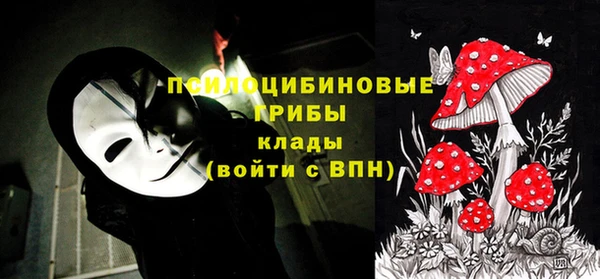 дурь Беломорск