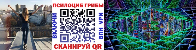 Псилоцибиновые грибы MAGIC MUSHROOMS  цены наркотик  блэк спрут онион  Каменка 